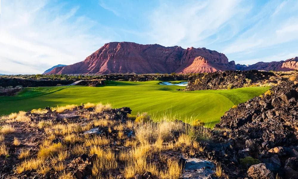 Black Desert Championship Qualifier Results 2024