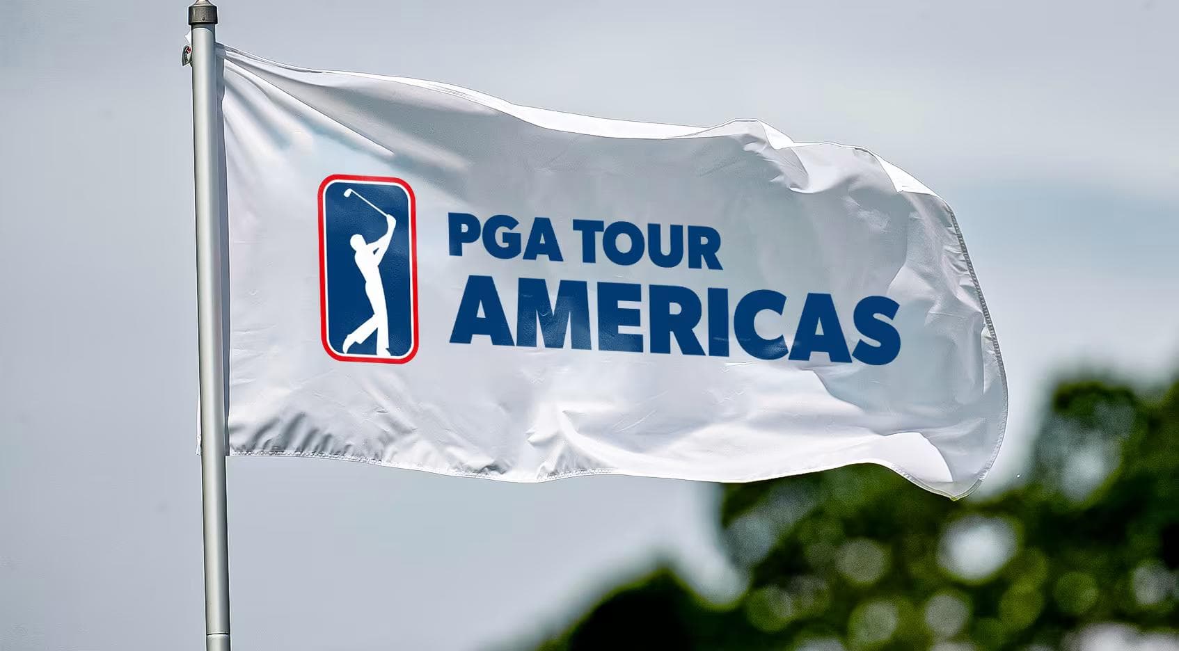 PGA Tour Americas Fact Sheet
