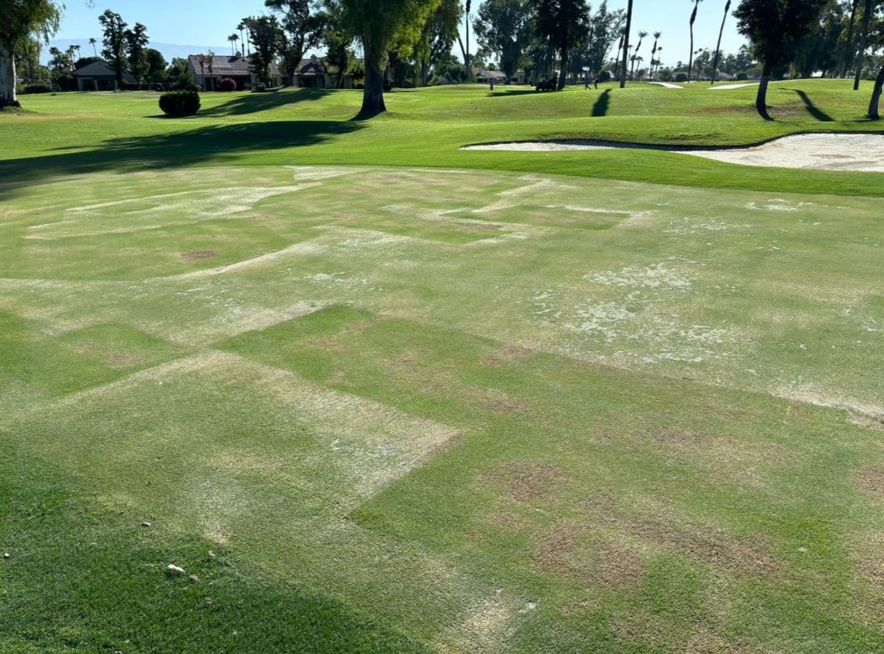 Players Running Hot at LPGA Q-School