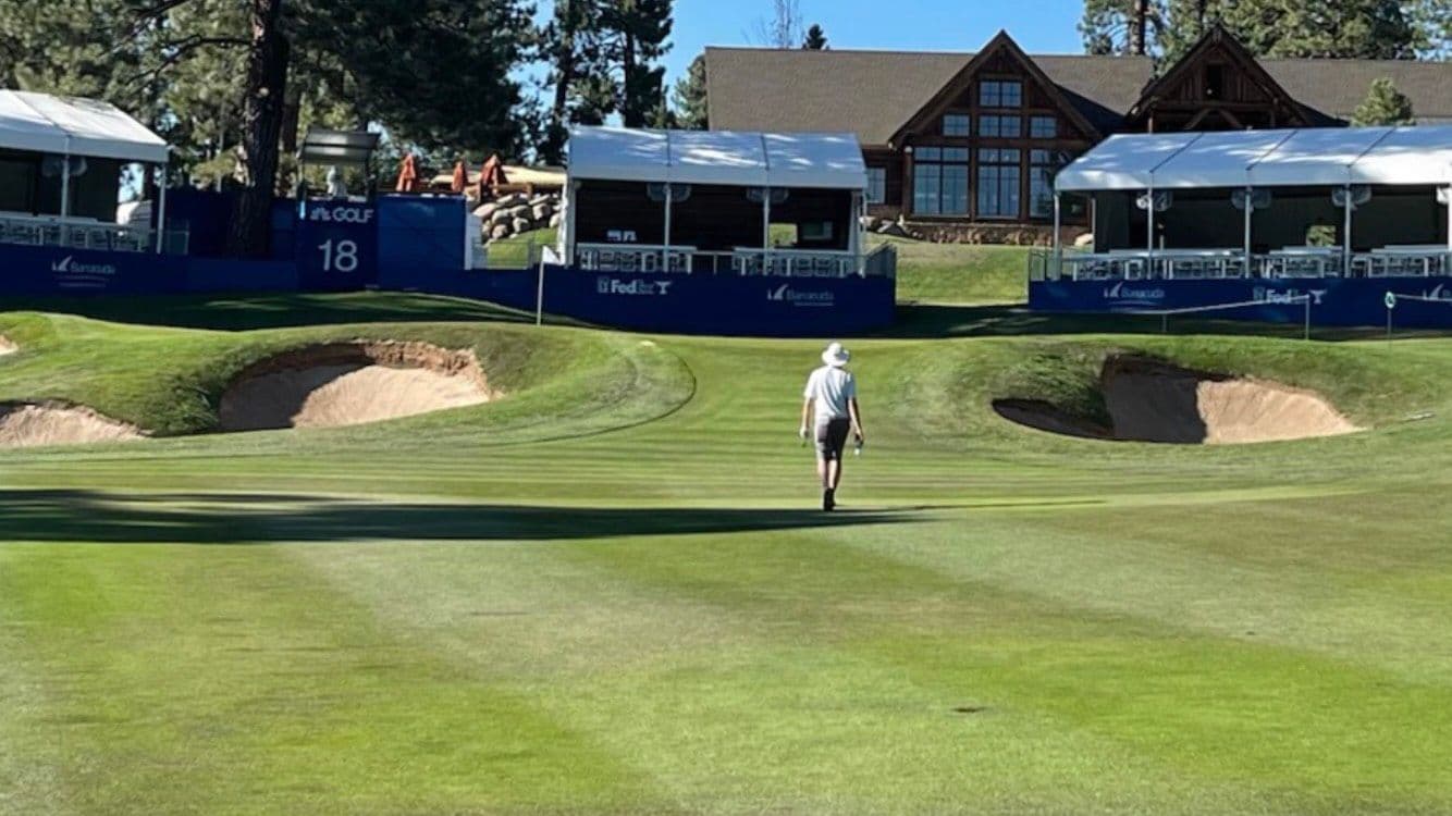 Scintillating Storylines