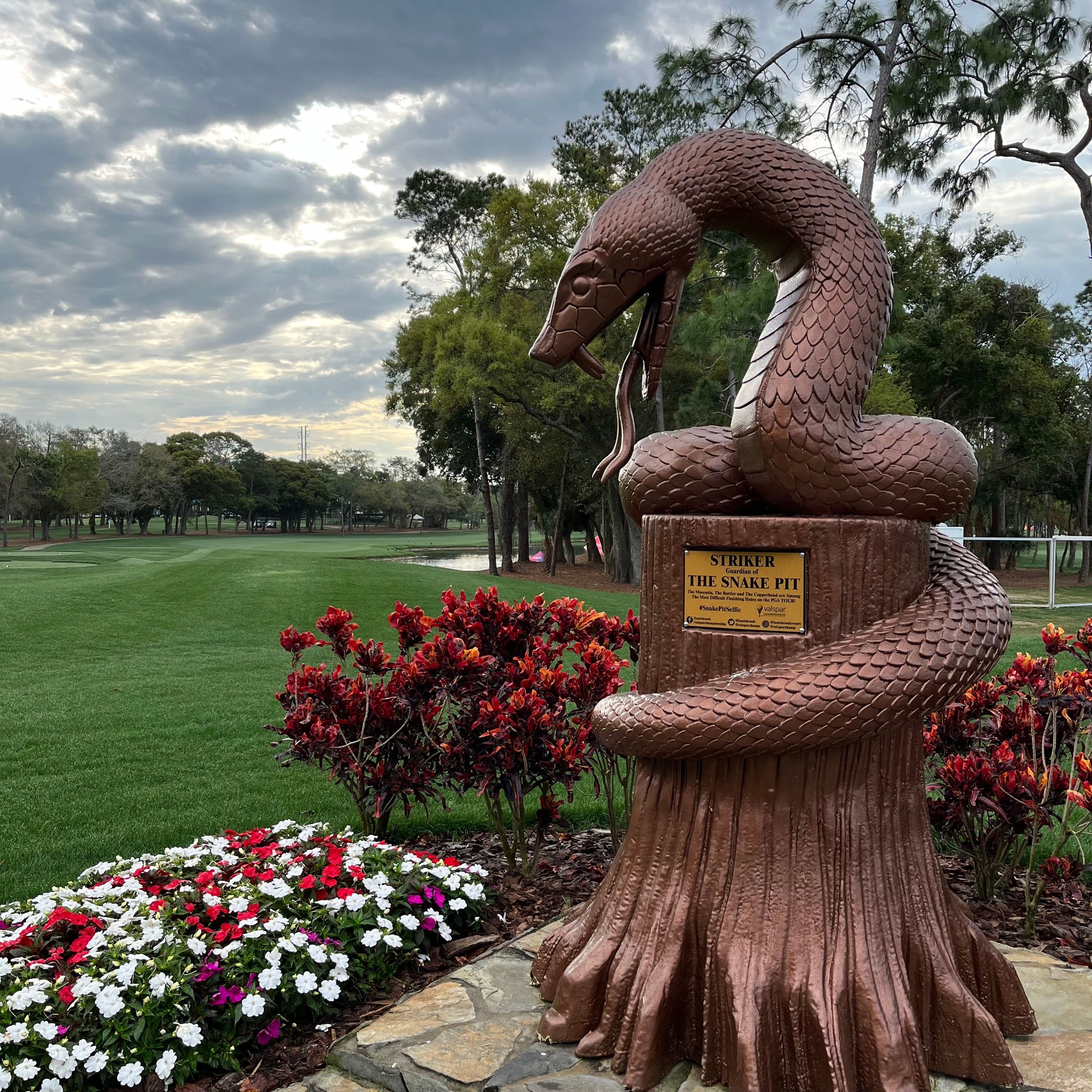 No Good Deed Goes Unpunished: A Pro-Am in The Snake Pit